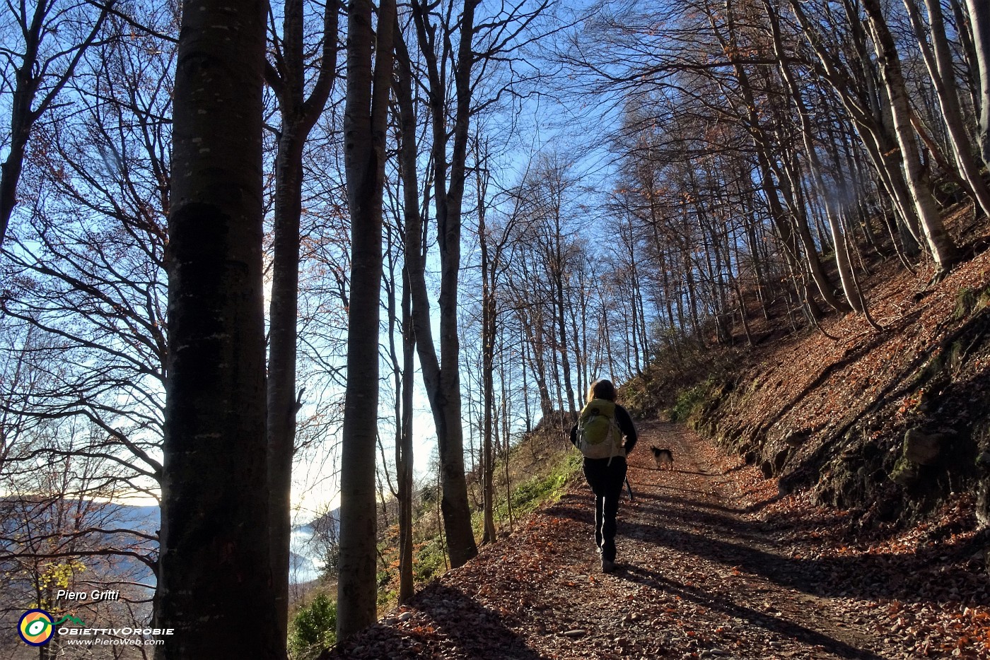 24 Strada sterrata in saliscendi poi nel  bosco di faggeta.JPG -                                